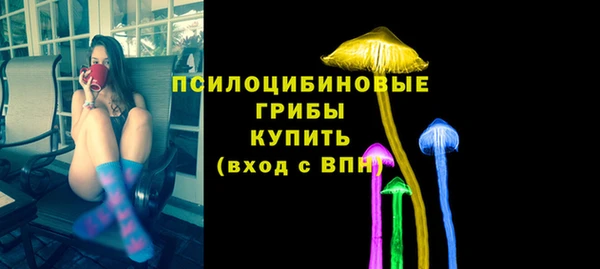 a pvp Аркадак