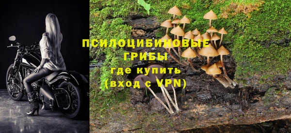 МДПВ Армянск