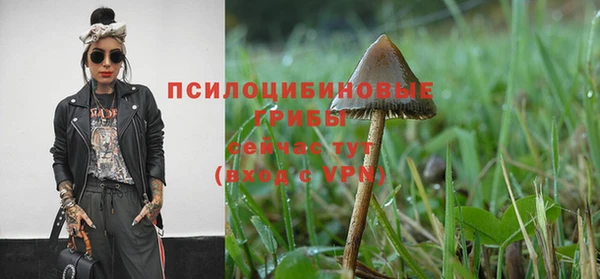 меф Арсеньев