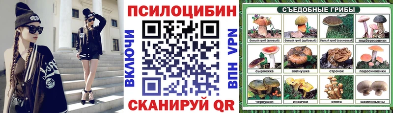 Галлюциногенные грибы Cubensis  где найти наркотики  Пошехонье 